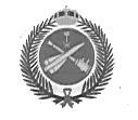 Air Defense Logo